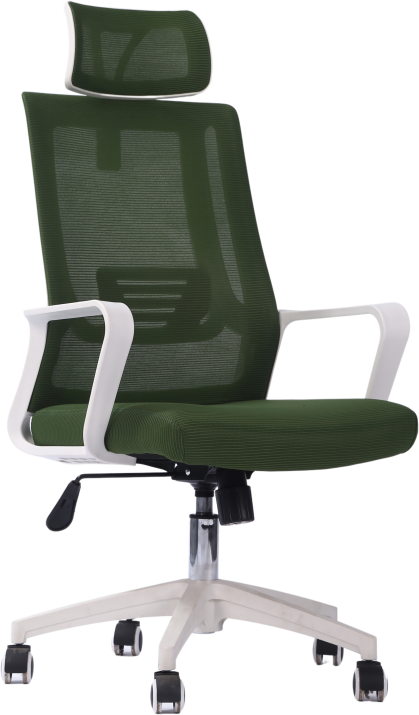 Ергономичен офис стол Vero W GREEN, Зелен/Бял 1