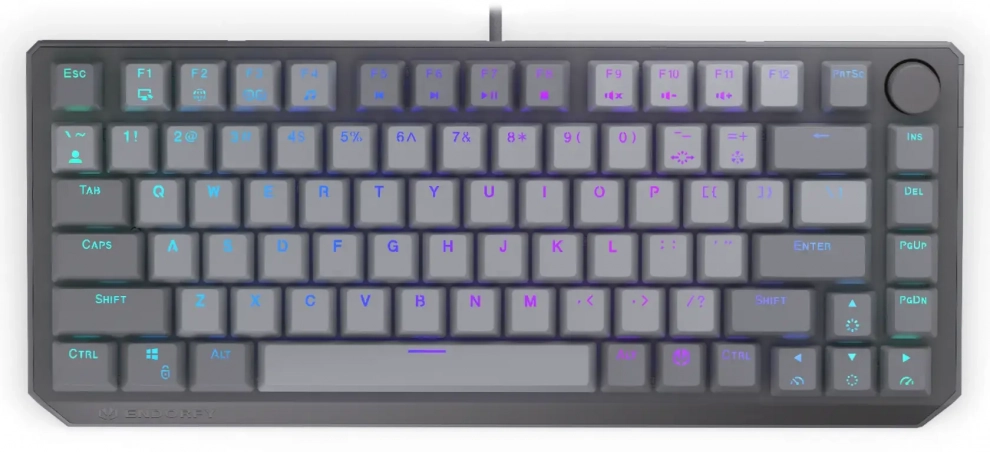 Геймърска механична клавиатура Endorfy Thock V2 75%, Red switch, US, ARGB, Сива | EY5A127  1