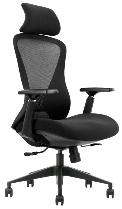 Ергономичен офис стол Ergonomee Fortuna - Черен 1