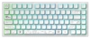 Безжична геймърскa механична клавиатура Dark Project ALU81A Terra Nova R2, G3MS Moonstone switches, RGB, Бяла 1