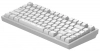 Безжична геймърскa механична клавиатура Dark Project ALU81A Terra Nova R2, G3MS Moonstone switches, RGB, Бяла 7
