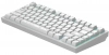 Безжична геймърскa механична клавиатура Dark Project ALU81A Terra Nova R2, G3MS Moonstone switches, RGB, Бяла 6