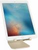 Поставка за таблет Rain Design mStand tablet, Златист 2